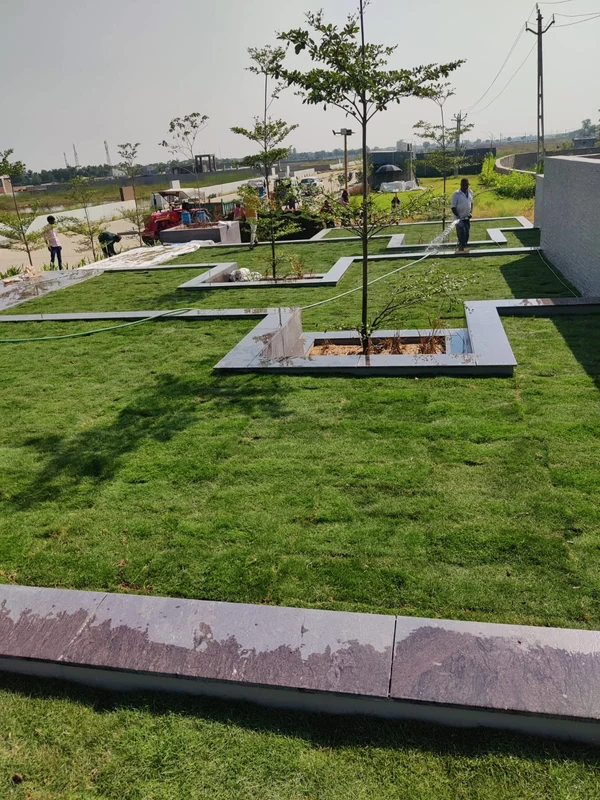 After villa garden