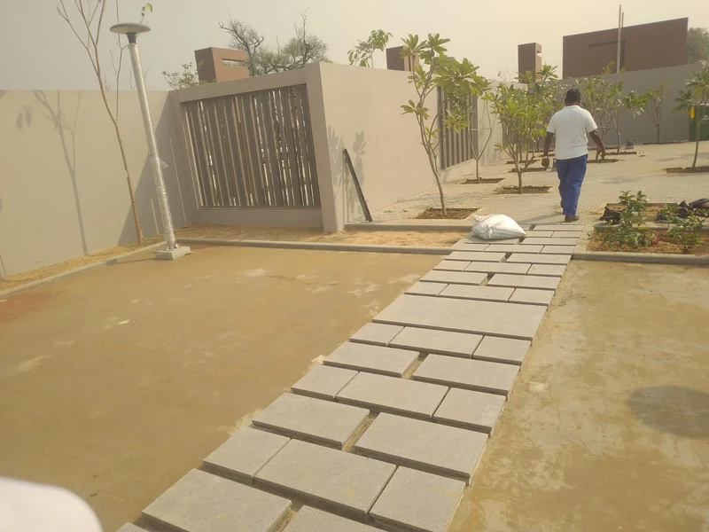 Before pathway garden