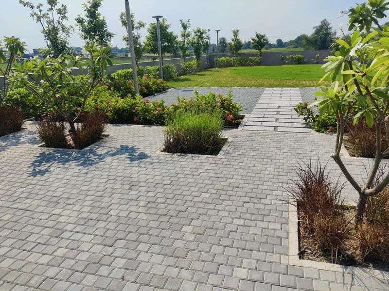 After pathway garden