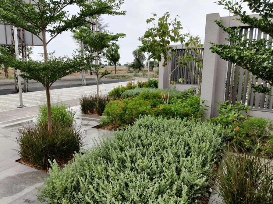Applewood landscaping project by Green Work Solution