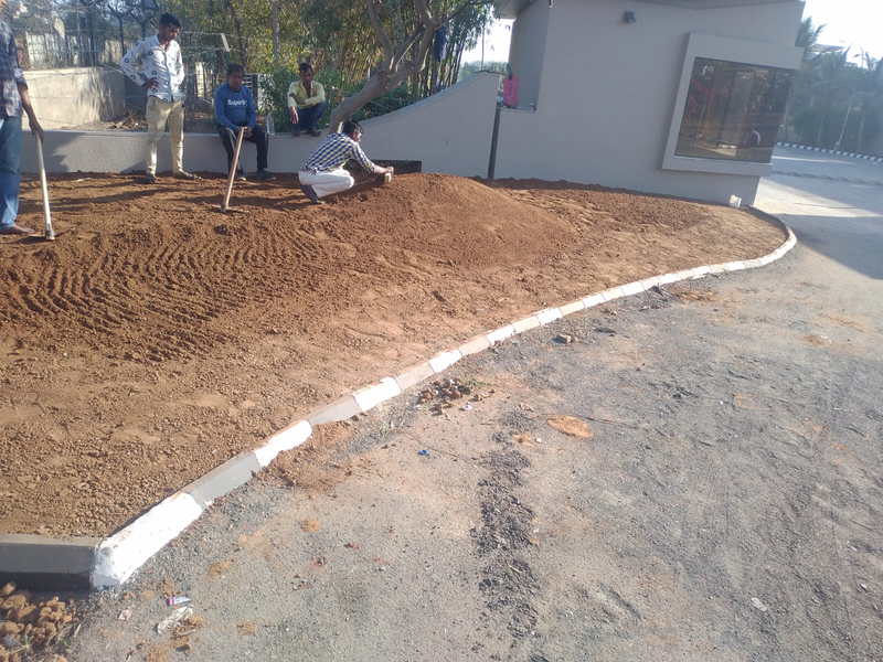 Before landscaping