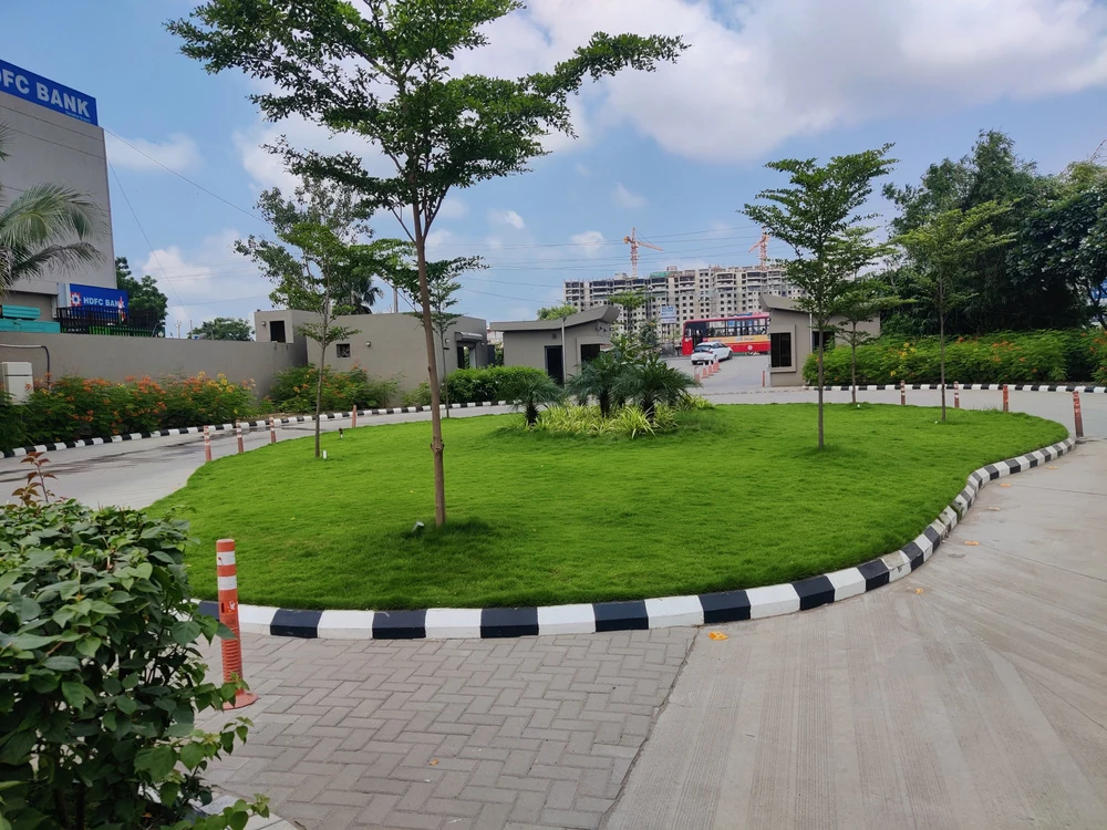 Vertical Landscape landscaping project by Green Work Solution