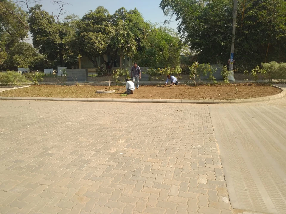 General Landscaping service by Green Work Solution