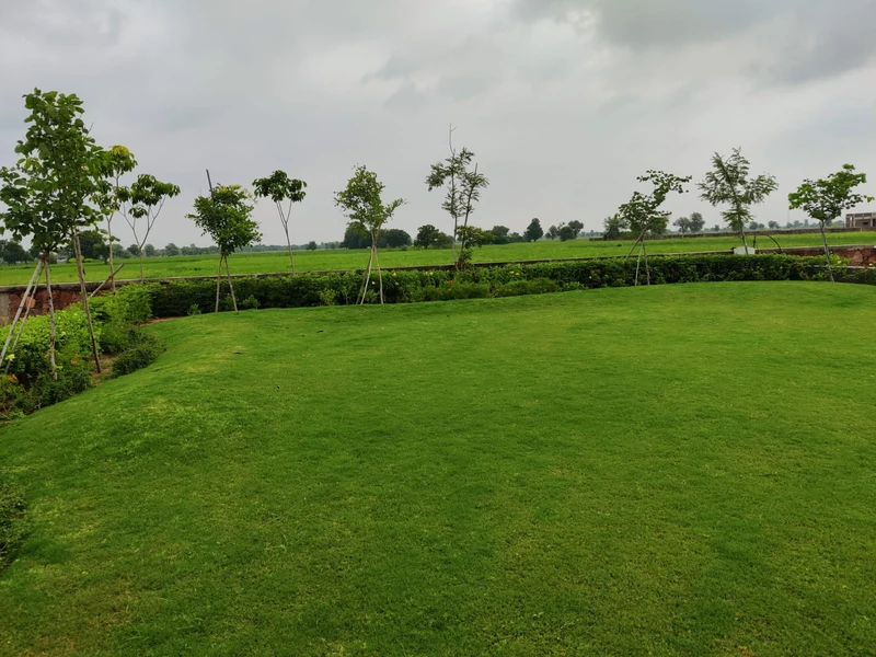Annual Maintenance service by Green Work Solution